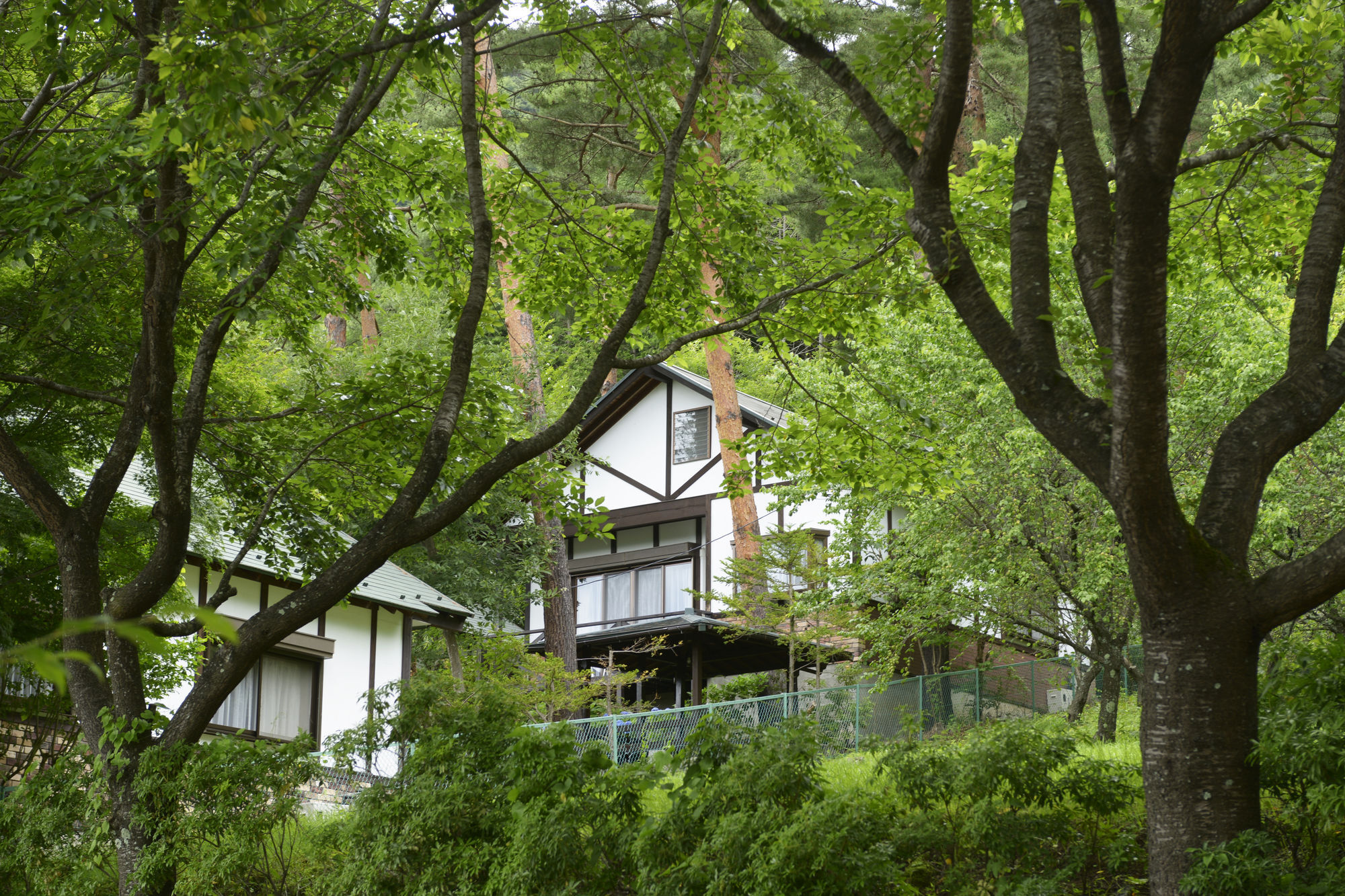 Kawaguchiko Country Cottage Ban Fudžikawagučiko Exteriér fotografie