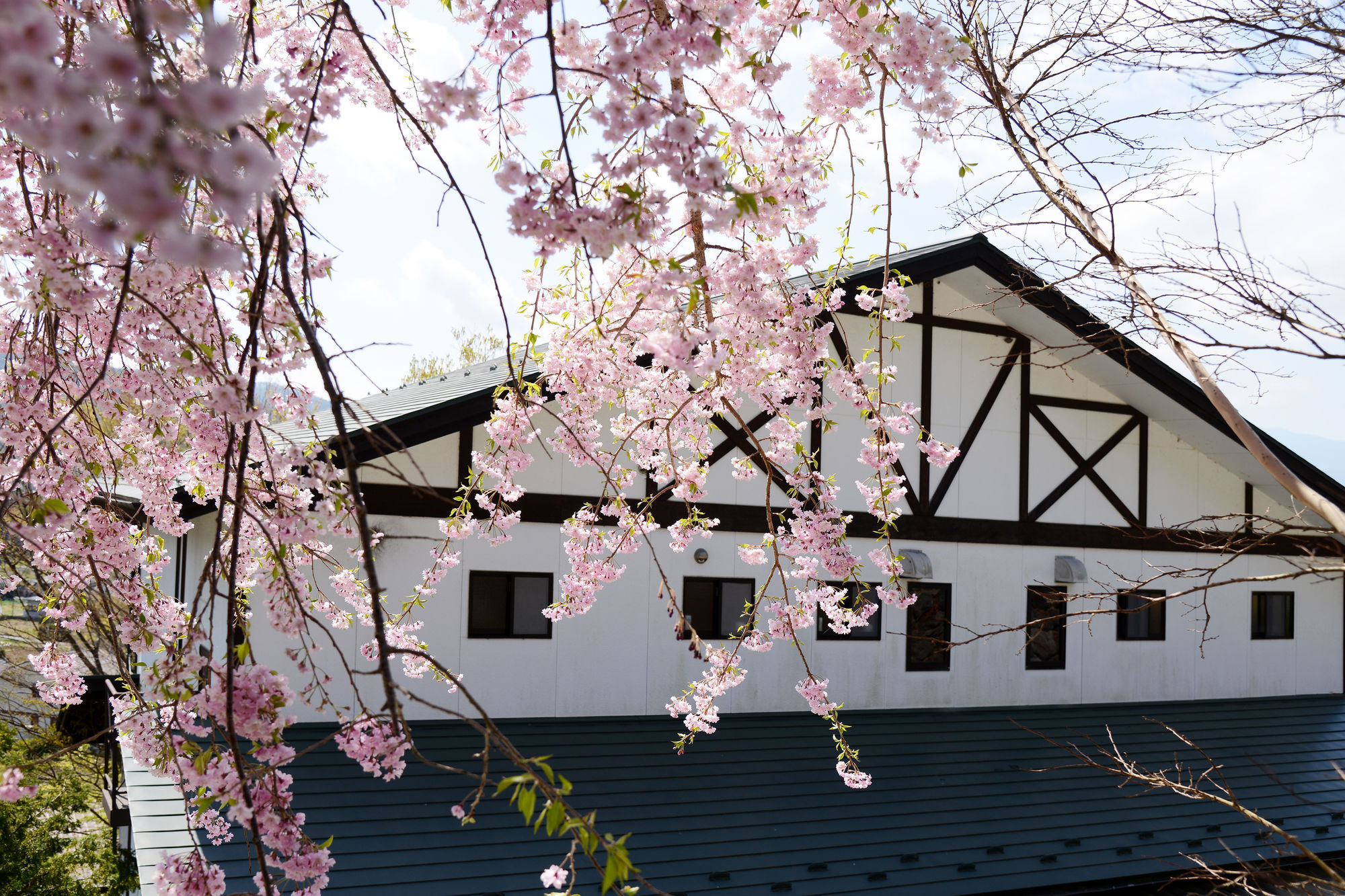 Kawaguchiko Country Cottage Ban Fudžikawagučiko Exteriér fotografie