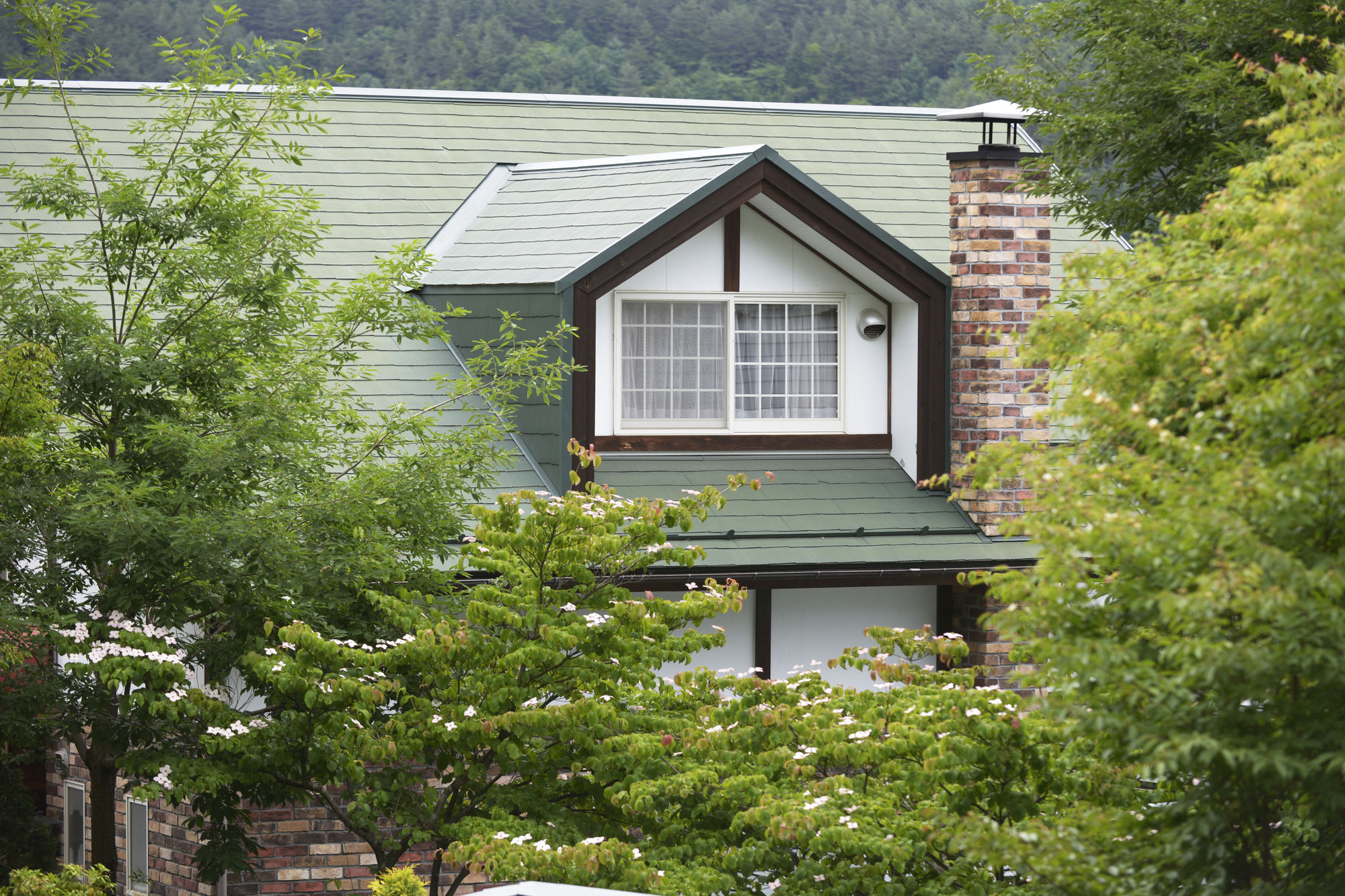 Kawaguchiko Country Cottage Ban Fudžikawagučiko Exteriér fotografie